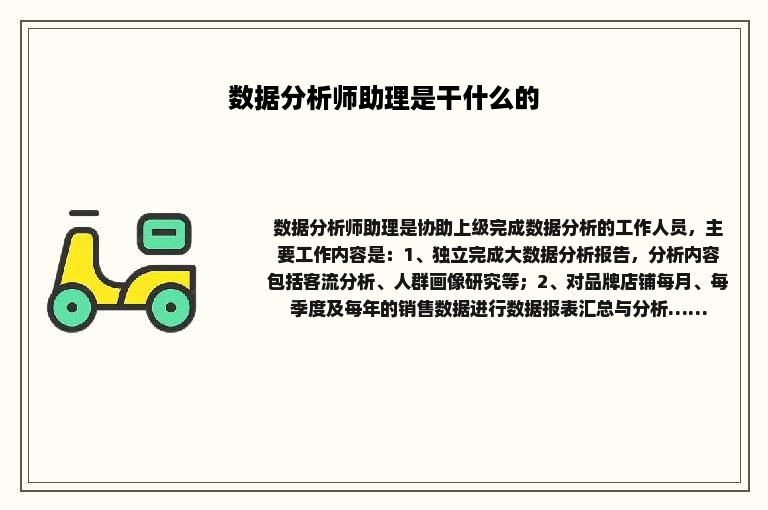 数据分析师助理是干什么的