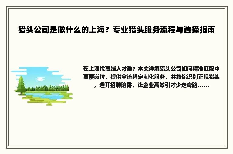 猎头公司是做什么的上海？专业猎头服务流程与选择指南