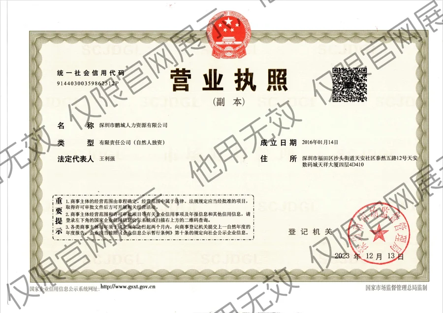 深圳市鹏城人力资源有限公司 营业执照